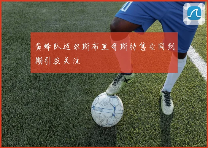 黄蜂队迈尔斯布里奇斯待售合同到期引发关注